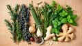 gesund kochen