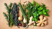 gesund kochen