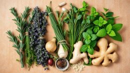 gesund kochen
